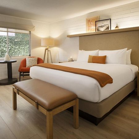 Dr Wilkinsons Backyard Resort And Mineral Springs A Member Of Design Hotels Calistoga Εξωτερικό φωτογραφία